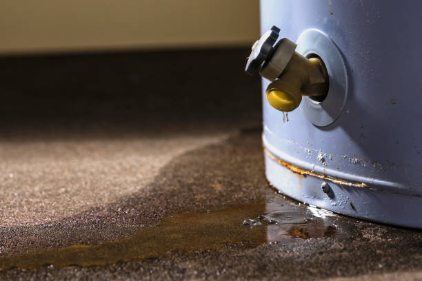  Yuma, AZ Water damage restoration Pros