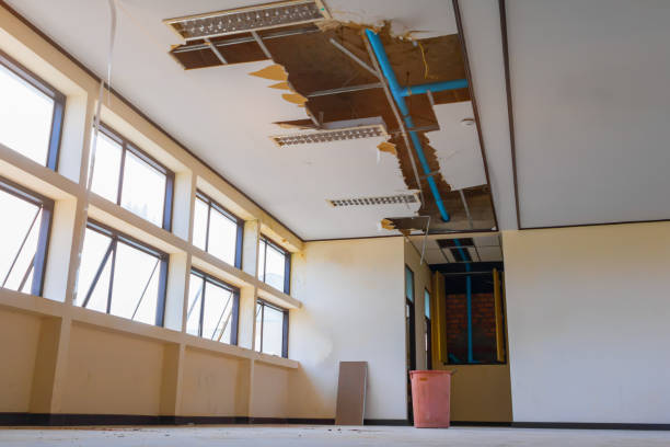 Best Water damage restoration near me  in Yuma, AZ