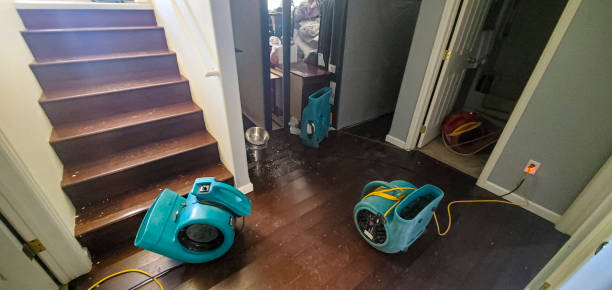 Best Water damage cleanup near me  in Yuma, AZ