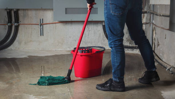 Best Basement water damage restoration  in Yuma, AZ