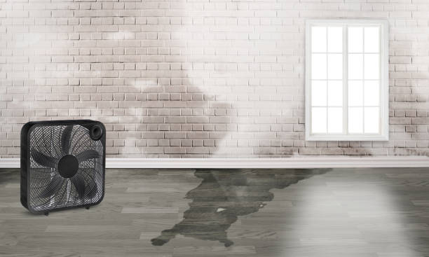 Water damage restoration insurance claims in AZ