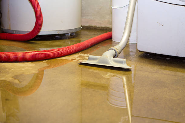 Best Water damage cleanup near me  in Yuma, AZ