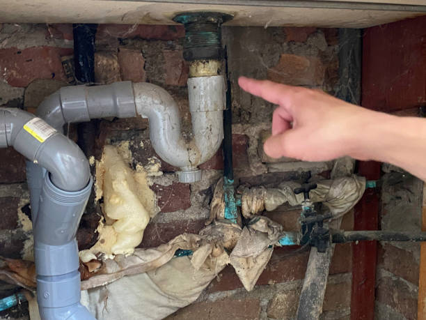  Yuma, AZ Water damage restoration Pros