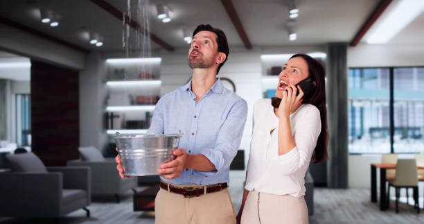 Best Carpet water damage restoration  in Yuma, AZ